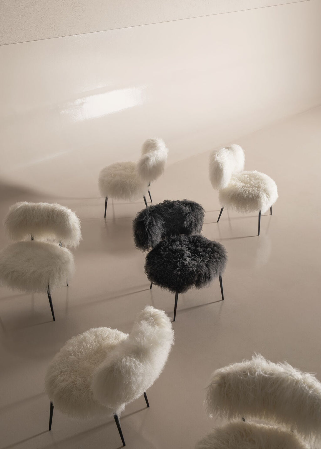 Nepal Black | Special Edition