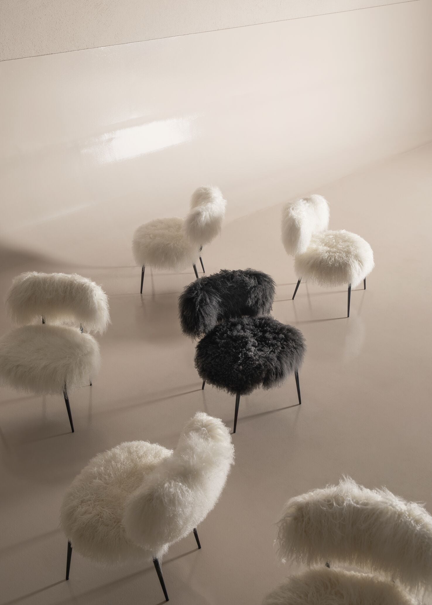 Nepal Black | Special Edition